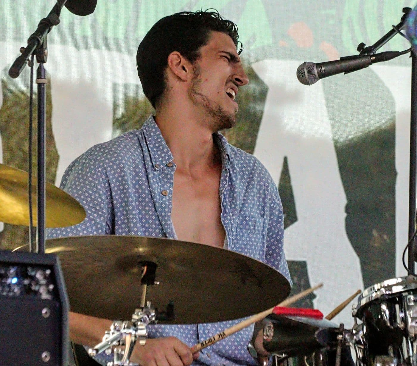 Performers and crowd at Lion Heart Music Fest